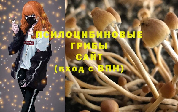 мдпв Балабаново
