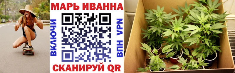 Марихуана Amnesia  ссылка на мегу ONION  Шагонар 